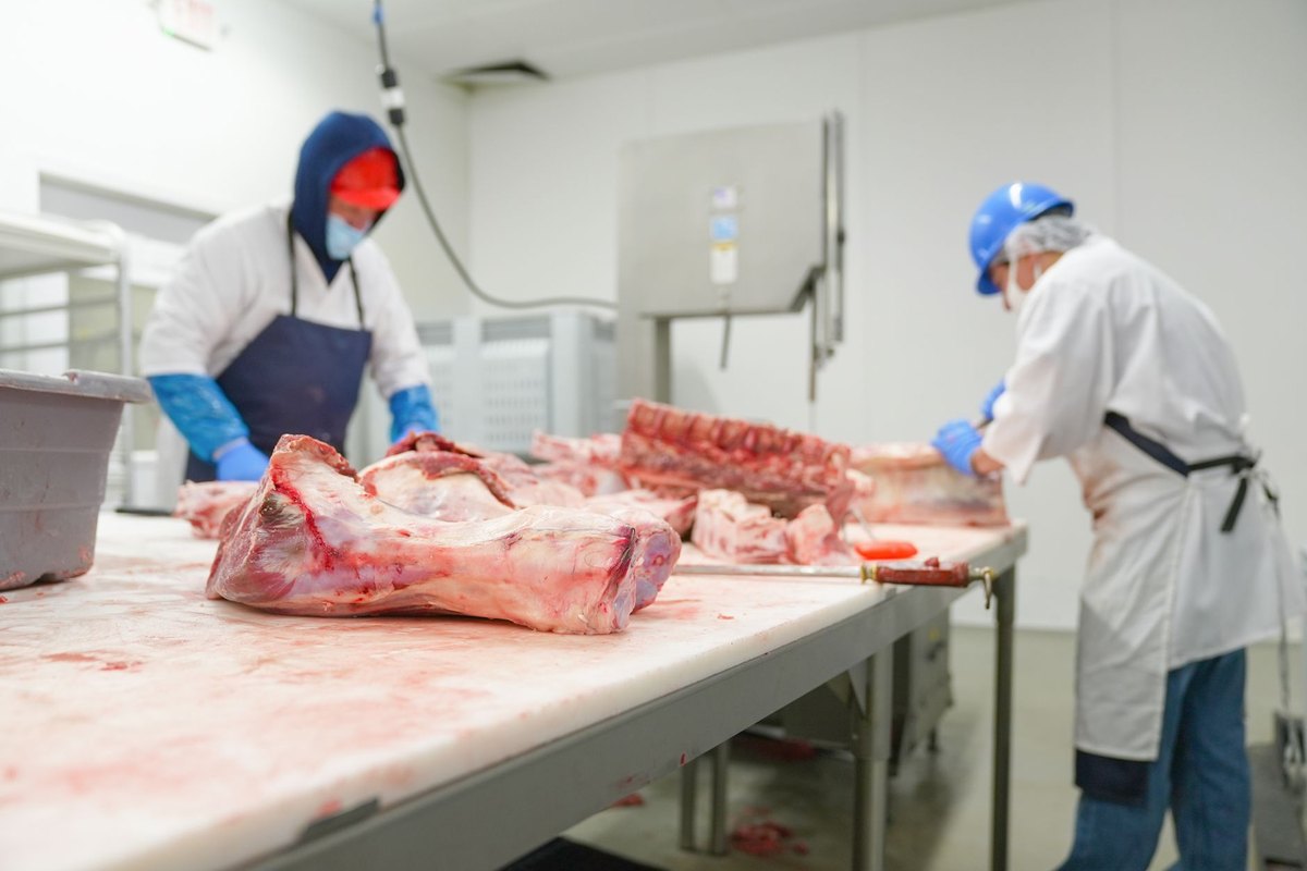 Como vender meus produtos para todo o Brasil (origem animal)