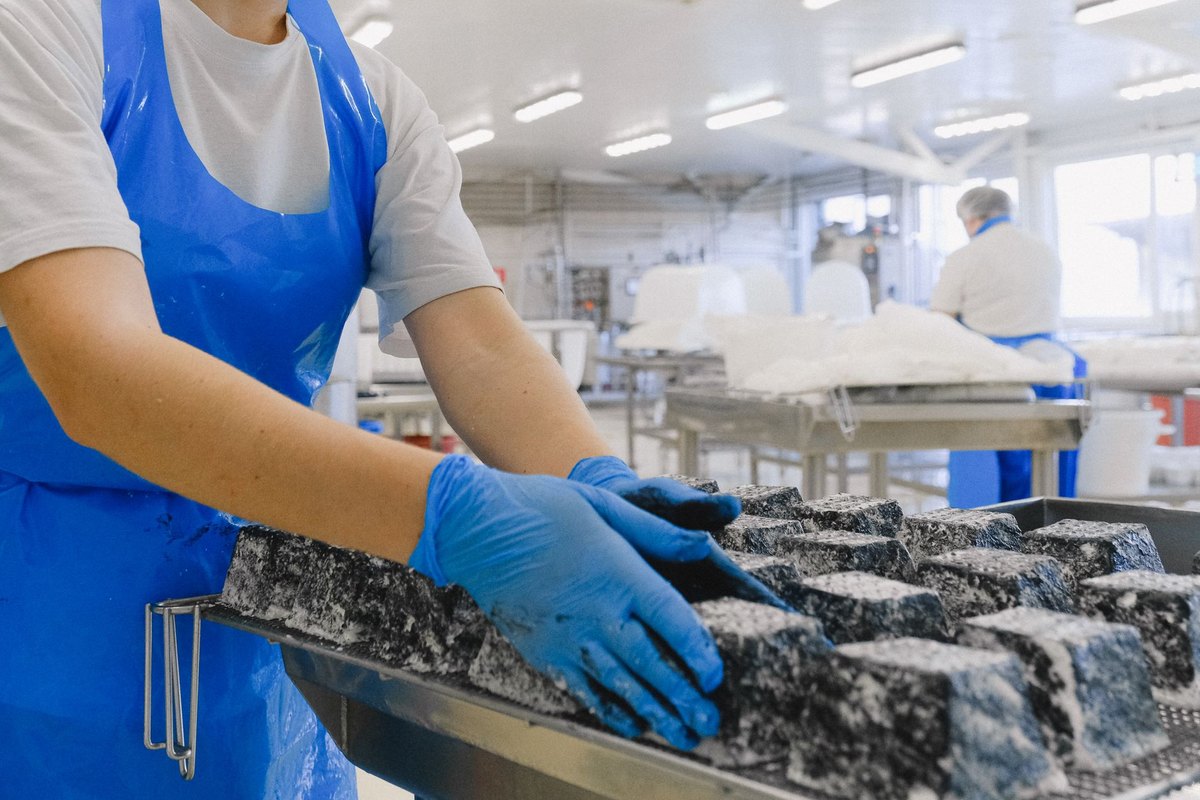 Quais análises microbiológicas um alimento precisa?