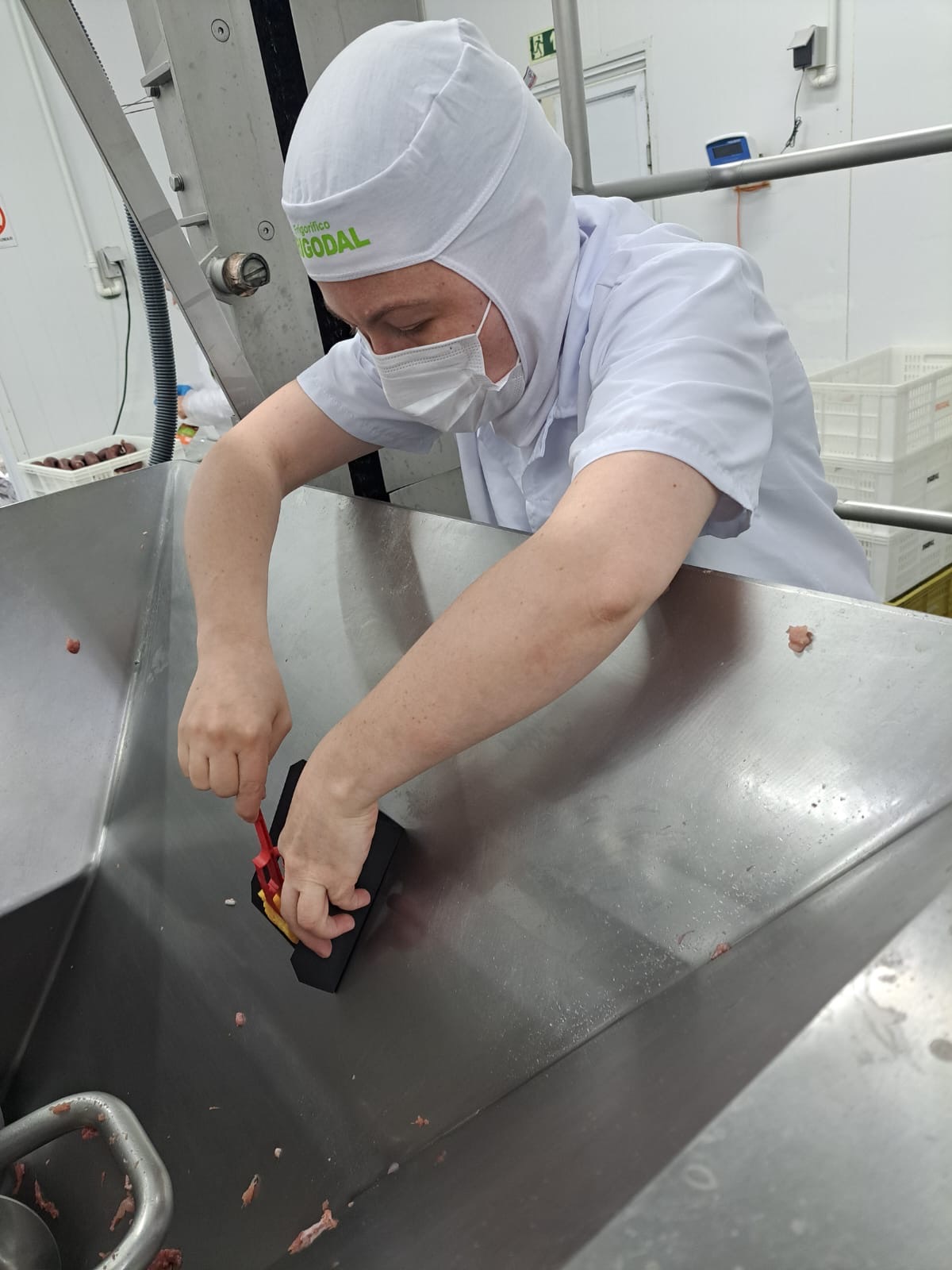 Rotina de consultoria em segurança dos alimentos